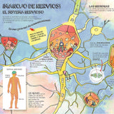 El Cuerpo Humano - Una Maquina Maravillosa